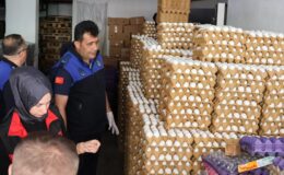 5 Bin Koli Yumurta İmha Edildi!