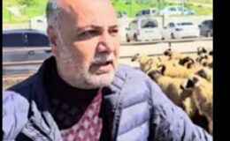 Kurban Fiyatları Neden Artıyor… Osman Türkman Açıkladı…