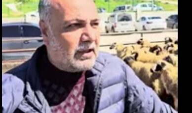 Kurban Fiyatları Neden Artıyor… Osman Türkman Açıkladı…