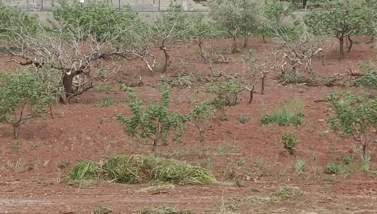 Gaziantep Acilen Afet Bölgesi İlan Edilmeli