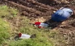 Şanlıurfa’da Şok Görüntüler… Varilden Çok Sayıda Cenin Çıktı