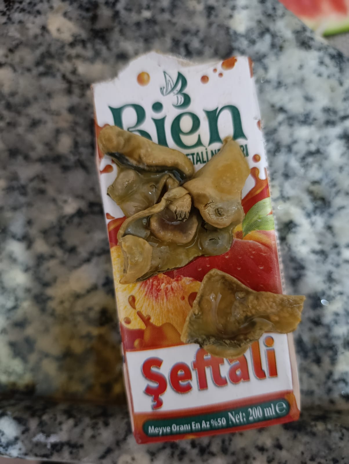 haydi1