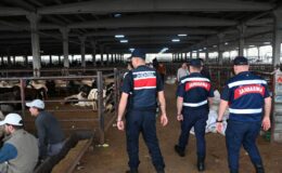 Gaziantep’te Kurban Pazarlarında Sıkı Denetim