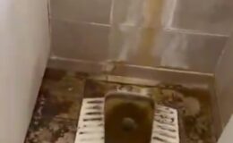 Gaziantep’te Mide Bulandıran Görüntüler… Vatandaşlar İsyan Etti