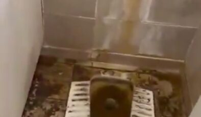 Gaziantep’te Mide Bulandıran Görüntüler… Vatandaşlar İsyan Etti