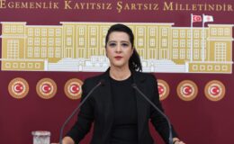 Sevda Karaca’dan Bakanlığa Zor Sorular
