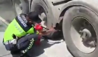 Gaziantep-Şanlıurfa Otoyolu’nda Faciadan Dönüldü!