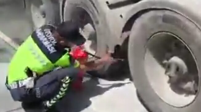 Gaziantep-Şanlıurfa Otoyolu’nda Faciadan Dönüldü!
