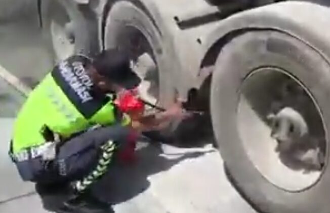 Gaziantep-Şanlıurfa Otoyolu’nda Faciadan Dönüldü!