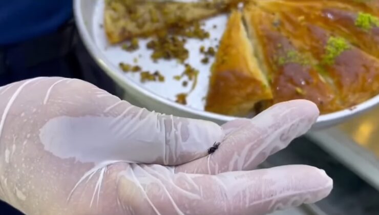 Şanlıurfa’da Baklava Skandalı