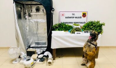 Gaziantep’te Zehir Tacirlerine Şafak Operasyonu!