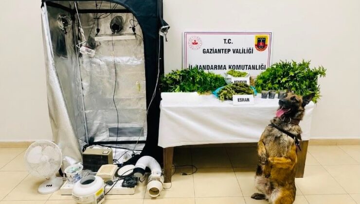 Gaziantep’te Zehir Tacirlerine Şafak Operasyonu!