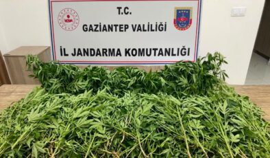 Gaziantep’te Jandarma Suç Örgütlerine Nefes Aldırmadı!
