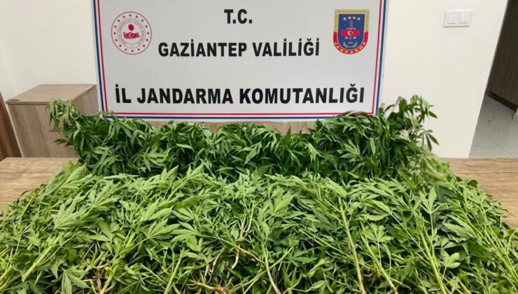 Gaziantep’te Jandarma Suç Örgütlerine Nefes Aldırmadı!